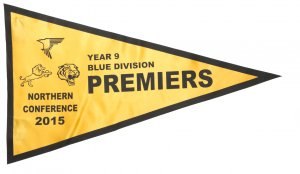 2015 - YR9