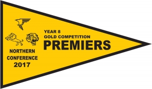 2017 - YR8