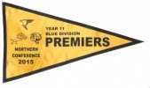 2015 - YR11 Flag